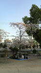 2010040817530000.jpg
