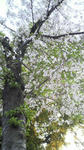 2010040817540000.jpg