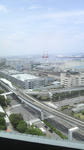 P1100417.jpg