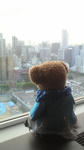 P1110080.jpg