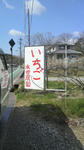 2011032609500000.jpg