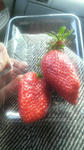 2011032610210000.jpg