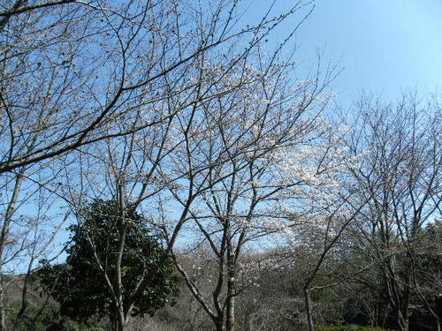 BLOG2008_032410002.JPG