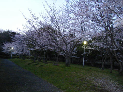 2008_04050009.JPG