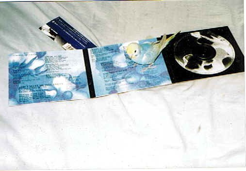 a00