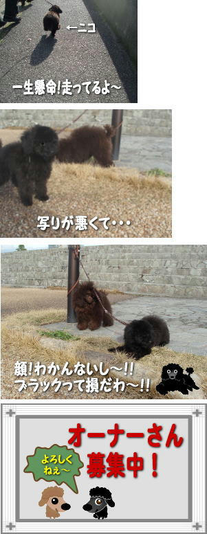 nikosanpo.jpg