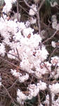 20100308165358.jpg