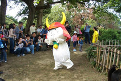 hikonyann1.jpg