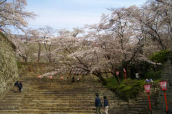 tuyamajyou7.jpg