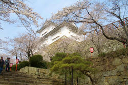 tuyamajyou6.jpg