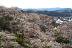 tuyamajyou4.jpg