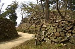 sumotojyou1.jpg