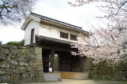 wakayamajyou4.jpg