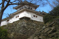 wakayamajyou5.jpg
