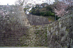wakayamajyou3.jpg
