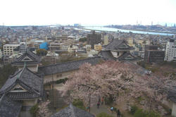 wakayamajyou7.jpg