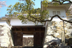 tatunojyou.jpg