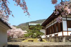 tatunojyou2.jpg