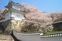 tatunojyou11.jpg