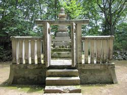 tanimoriyosi.jpg