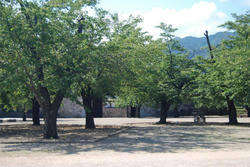 kaizujyou4.jpg