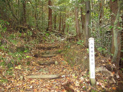 yagijyou1_.jpg