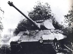Tiger2..jpg