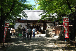 uedajyou3.jpg