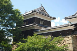 uedajyou9.jpg