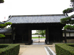 maru10_.jpg