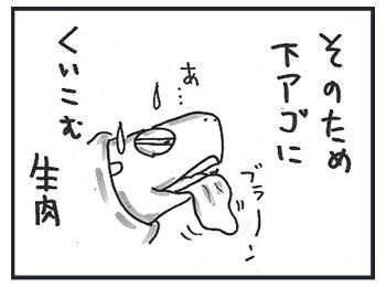1120c.jpg