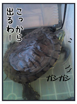 1205a.jpg