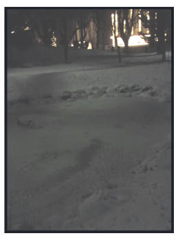 1216a.jpg