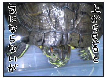 0112a.jpg