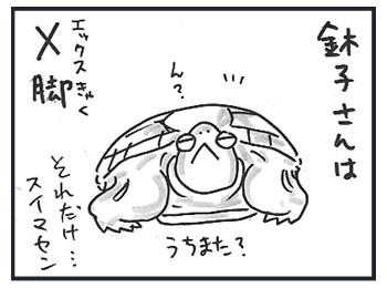 0114b.jpg
