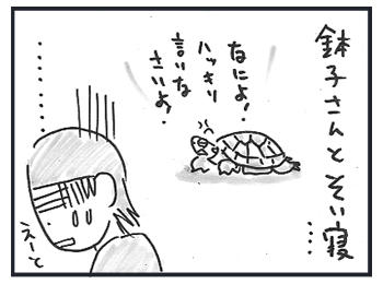 0115b.jpg