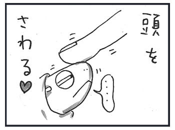 0125b.jpg