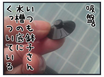 0201a.jpg