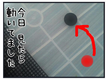 0201b.jpg
