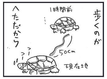 0207c.jpg