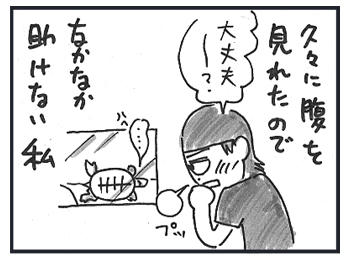 0215d.jpg
