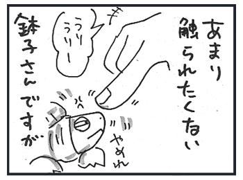 0216a.jpg