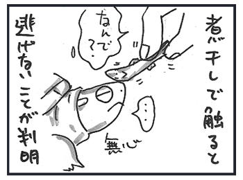 0216b.jpg