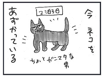 0224a.jpg