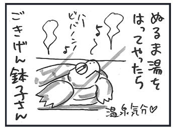 0228b.jpg