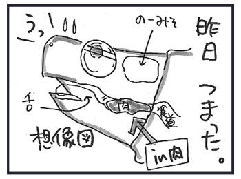0308b.jpg
