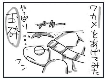 0326b.jpg