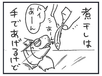 0519a.jpg