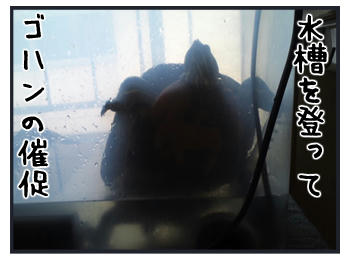 110713b.jpg