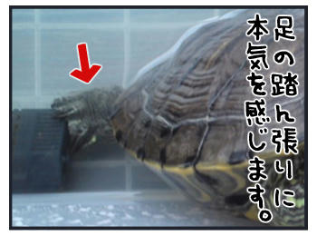 110713d.jpg
